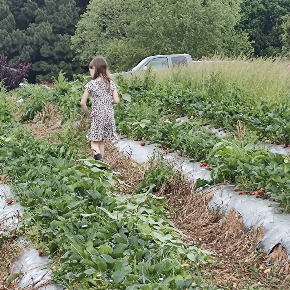 Meet your Posher, Nicole